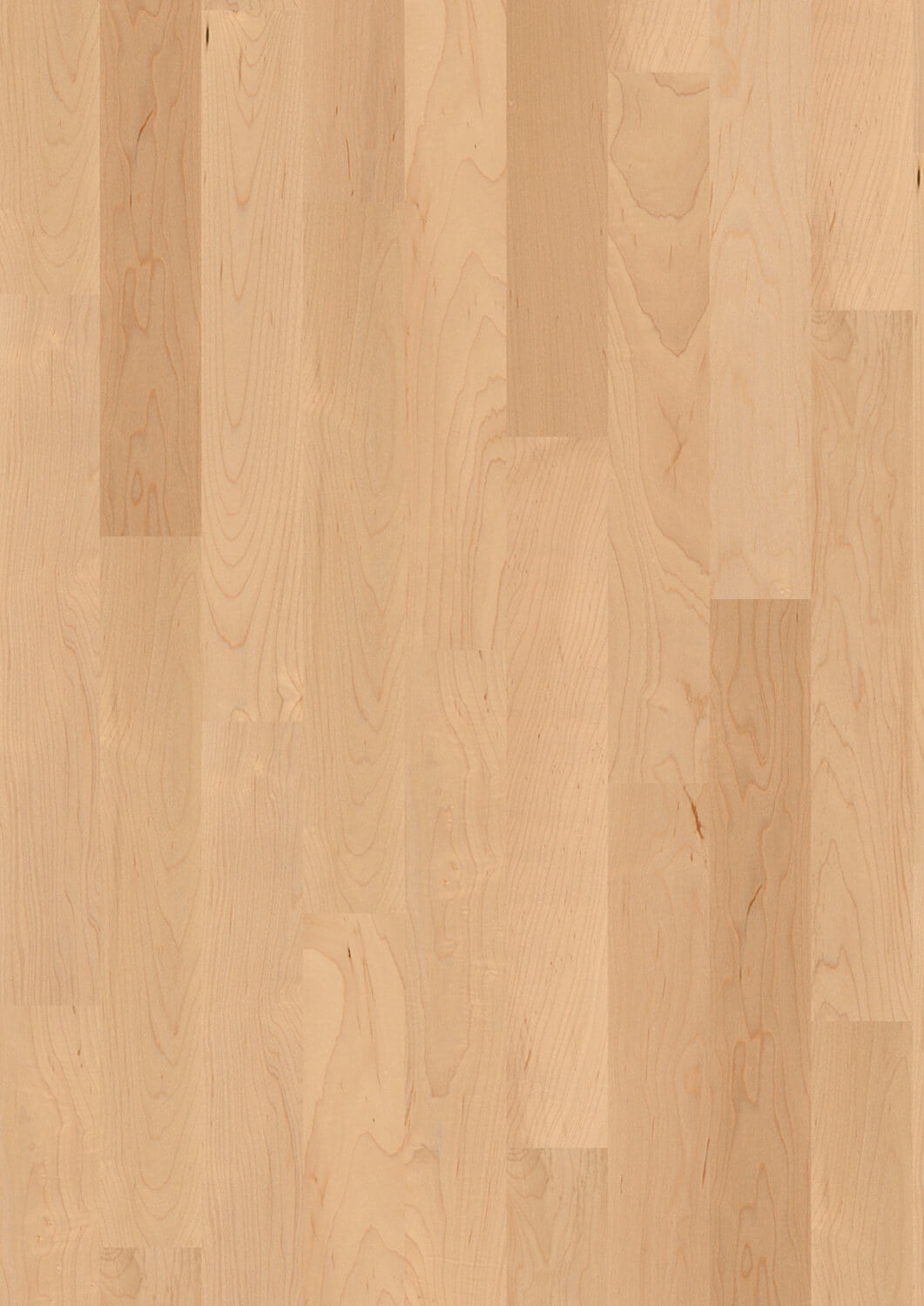 Maple Elegance, oiled oxi. pre-finished parquet