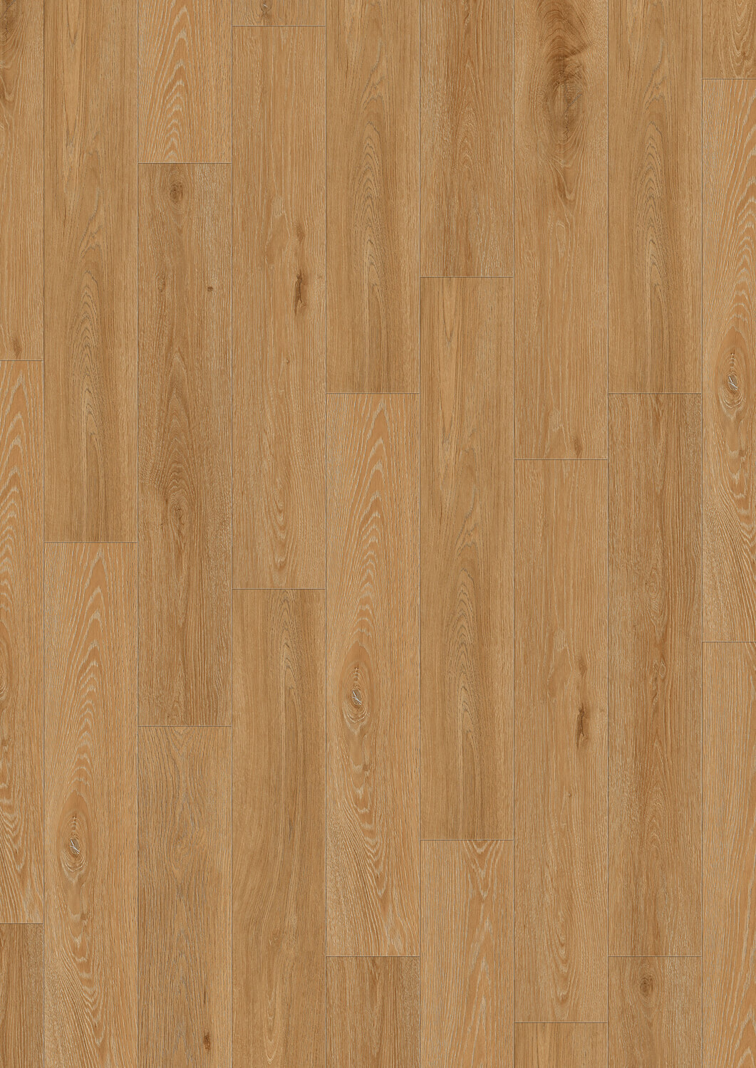 Aquinoah Honey Aquinoah Honey