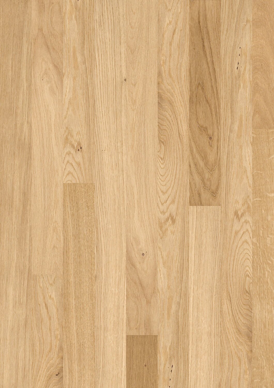 Surface of parquet Oak Natural oiled