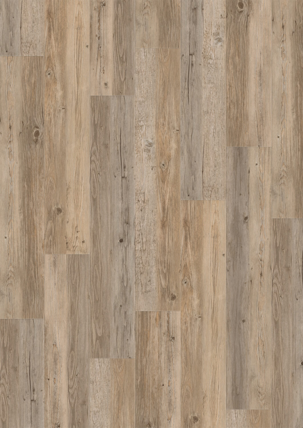 Longboard Longboard Draufsicht