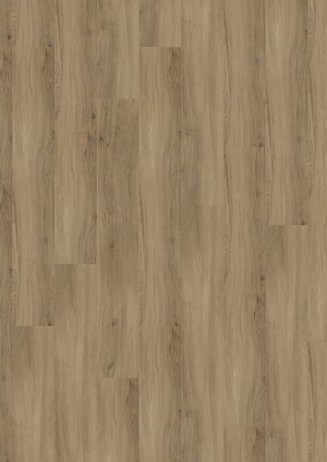 Quartet Quartet Draufsicht