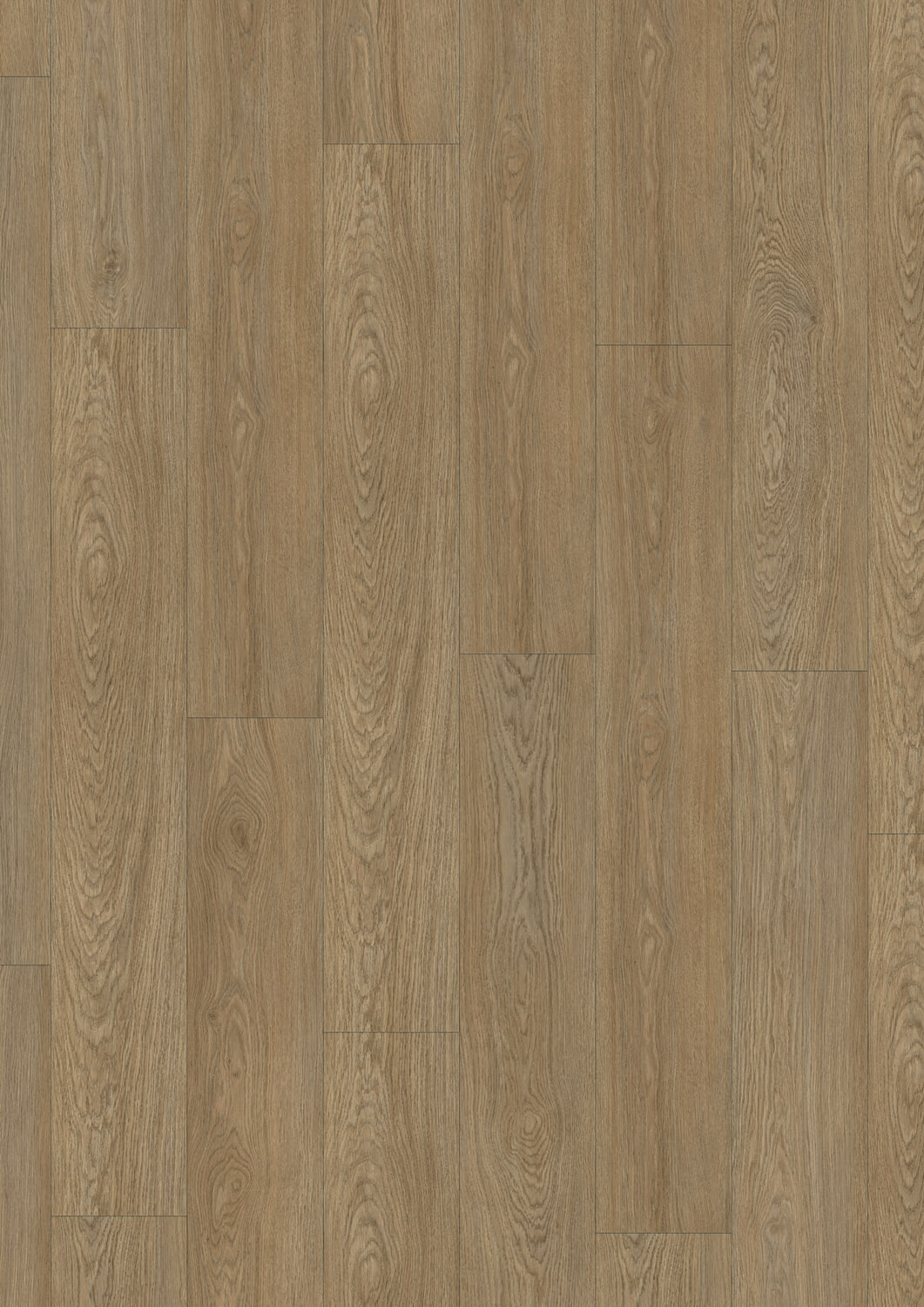 Lounge Oak Chestnut Lounge Oak Chestnut Draufsicht