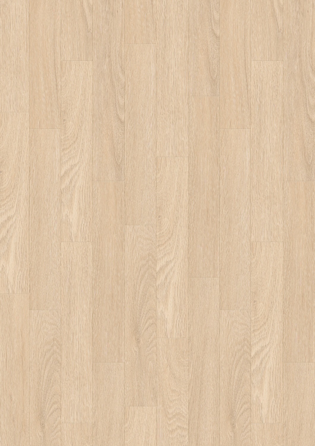 Tamo Cream Tamo Cream Draufsicht