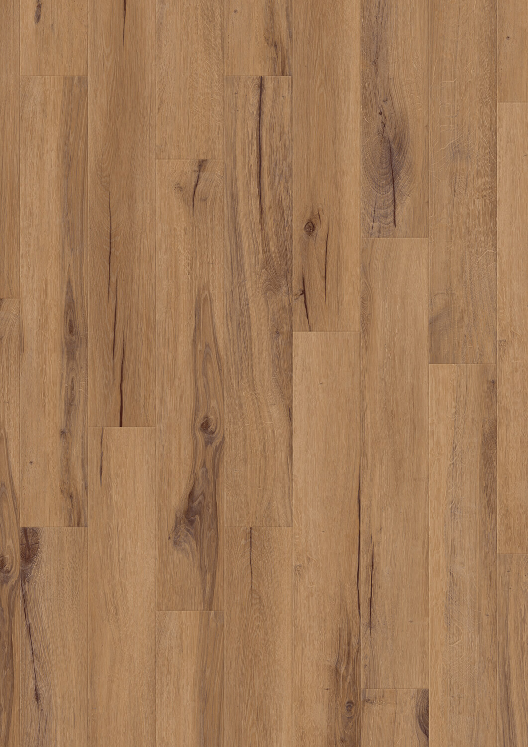 Cedar Golden Cedar Golden Draufsicht Holzdekor